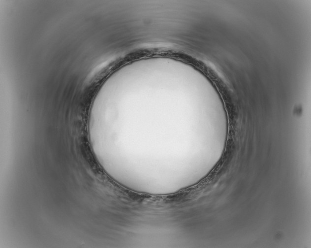 X0000089890967200707262226