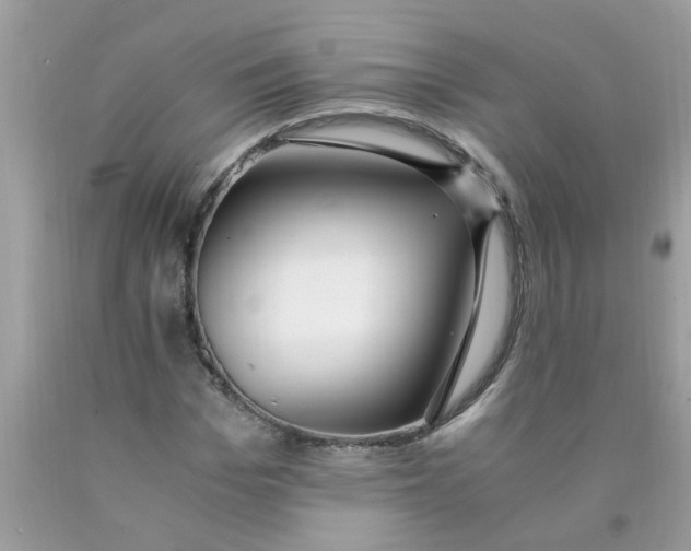 X0000089890969200707262226