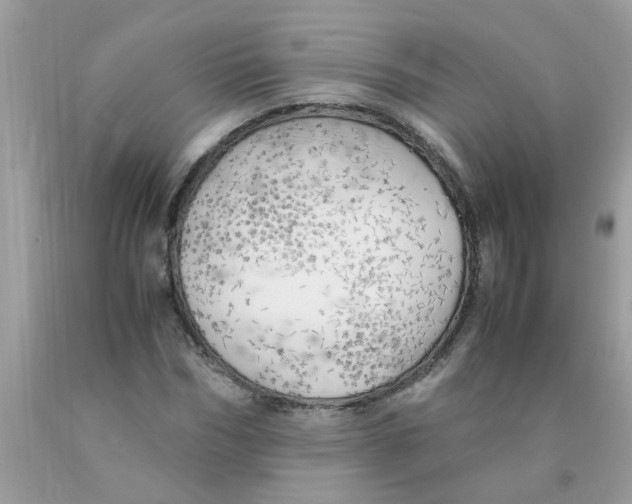 X0000089890970200707262226