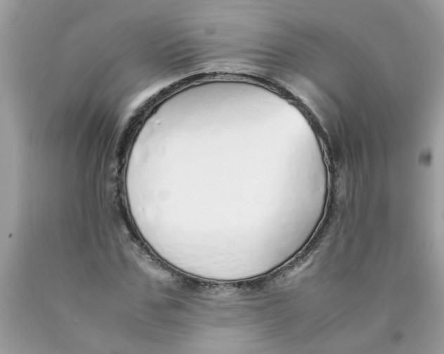 X0000089890971200707262226