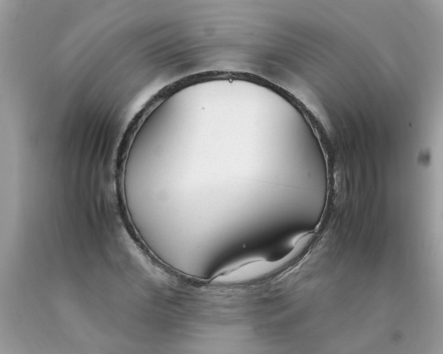 X0000089890972200707262226