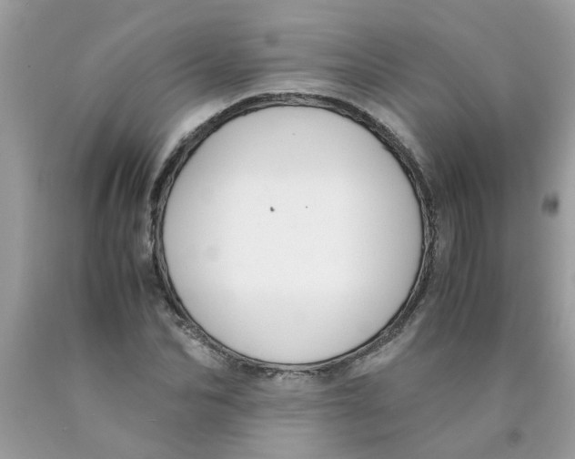 X0000089890974200707262226