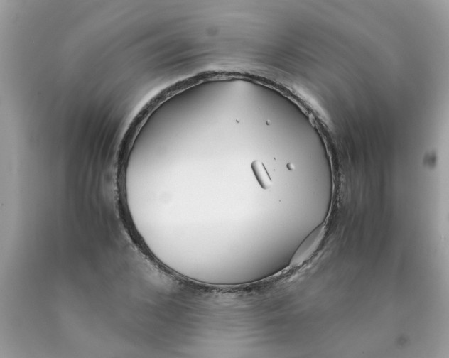 X0000089890976200707262226