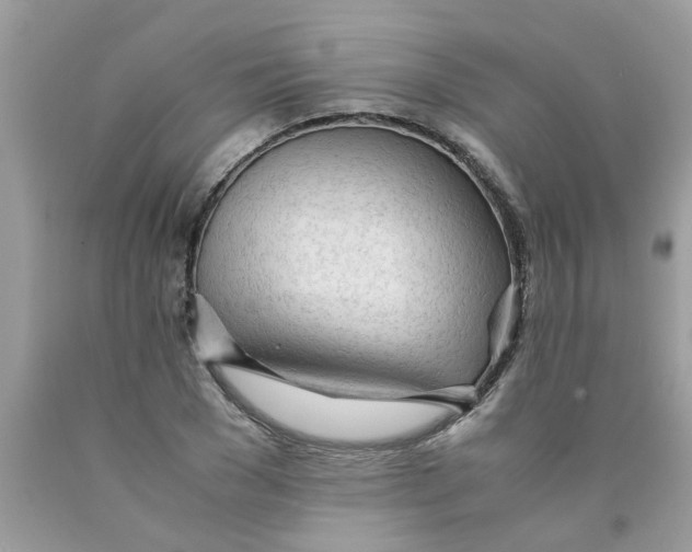 X0000089890977200707262226