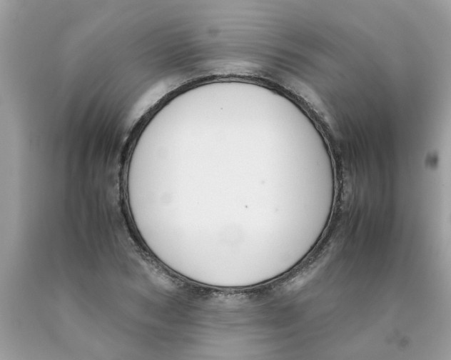 X0000089890978200707262226