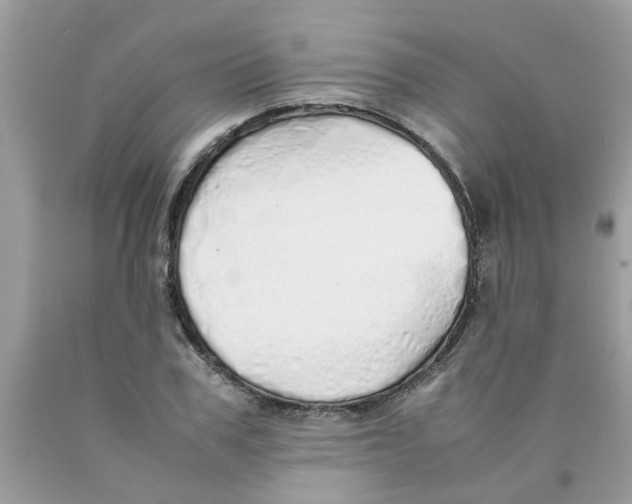 X0000089890979200707262226