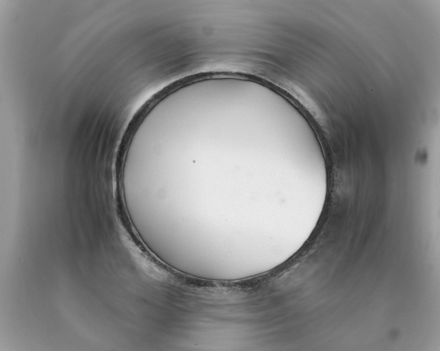 X0000089890980200707262226