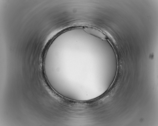 X0000089890981200707262226