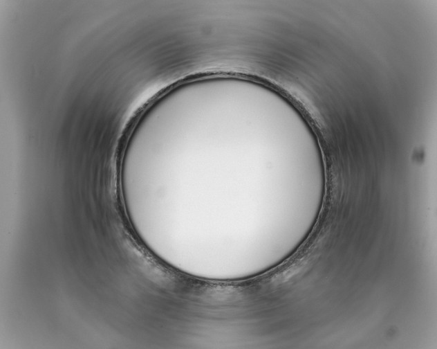 X0000089890982200707262226