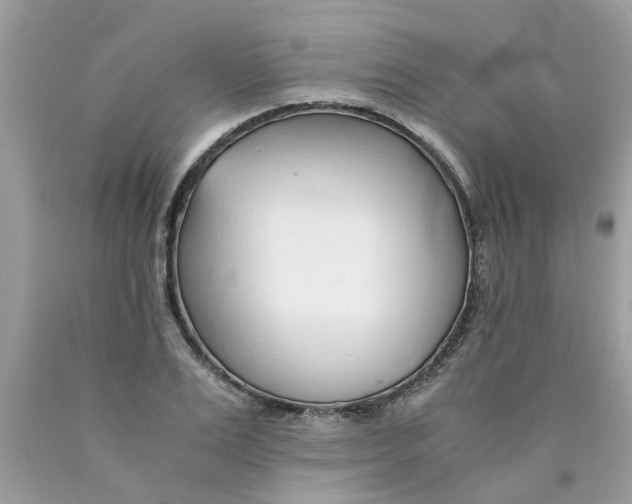 X0000089890983200707262226