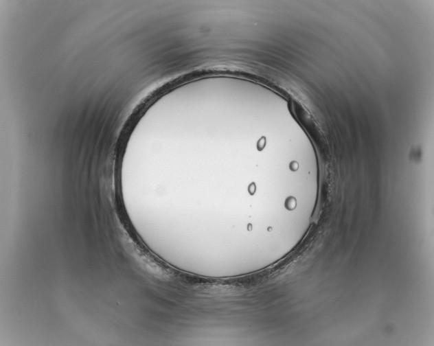 X0000089890984200707262226