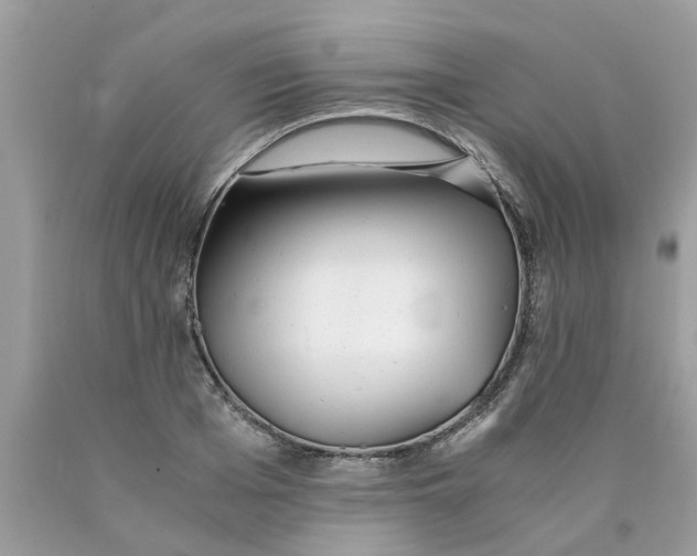 X0000089890985200707262226