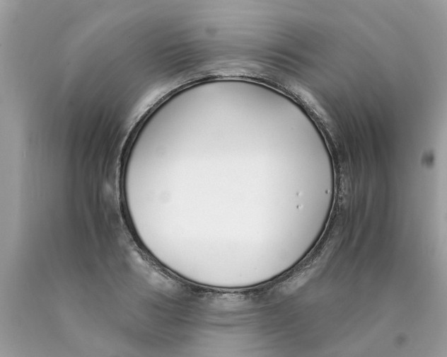 X0000089890986200707262226