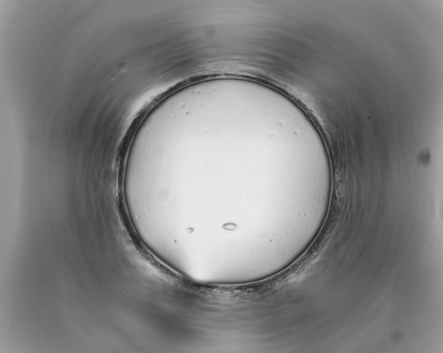 X0000089890987200707262226