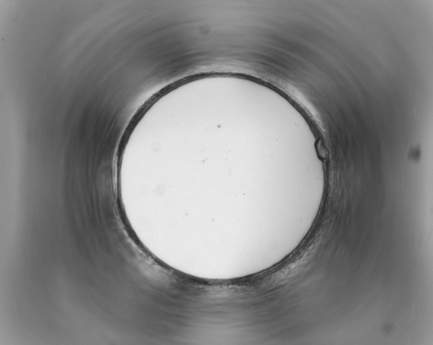 X0000089890988200707262226