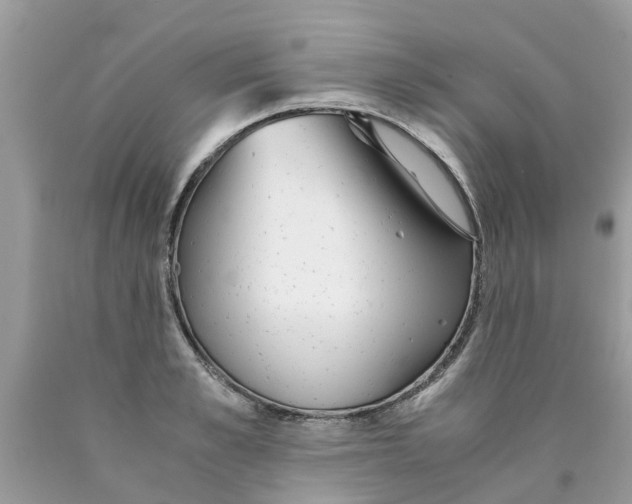 X0000089890989200707262226