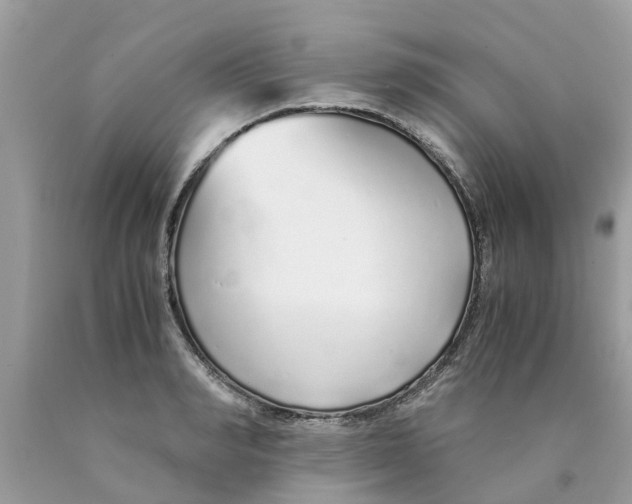 X0000089890990200707262226