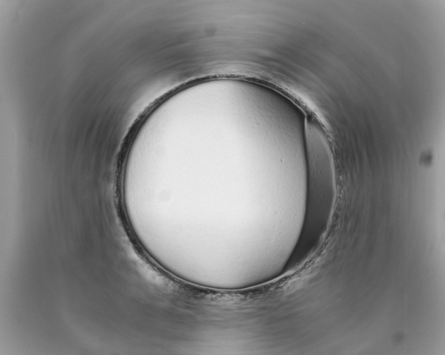 X0000089890991200707262226