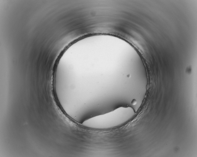 X0000089890992200707262226