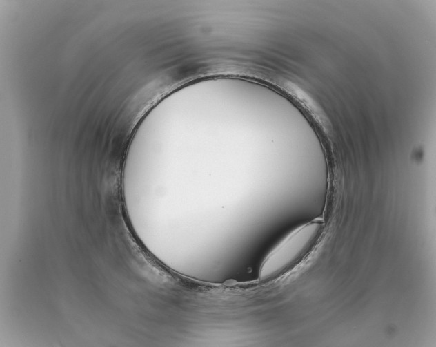 X0000089890993200707262226