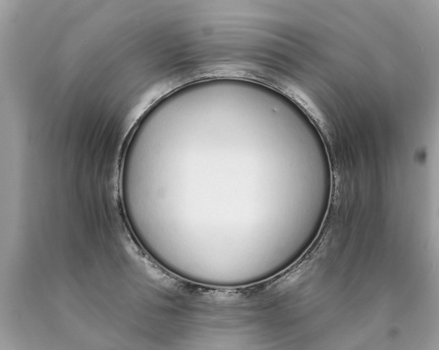 X0000089890994200707262226