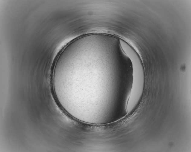 X0000089890995200707262226