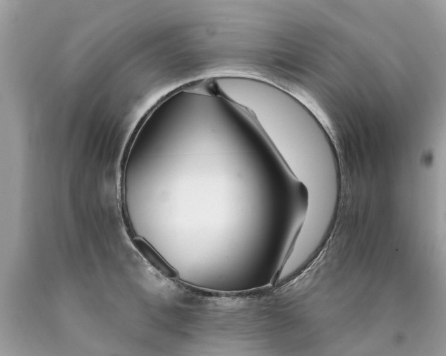 X0000089890996200707262226