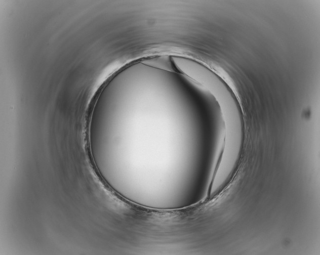 X0000089890997200707262226
