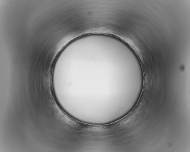 X0000089890998200707262226