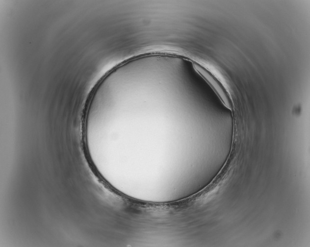 X0000089890999200707262226