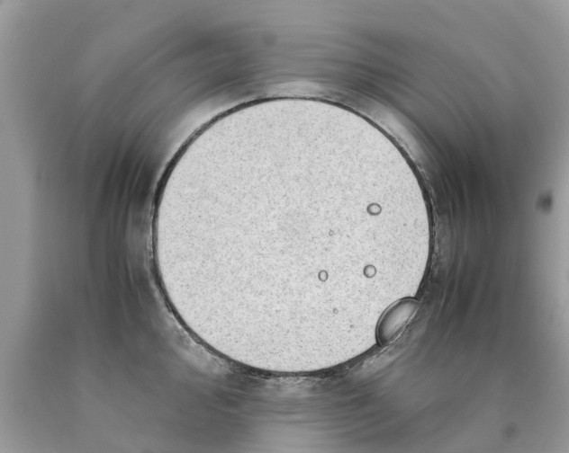 X0000089891000200707262226