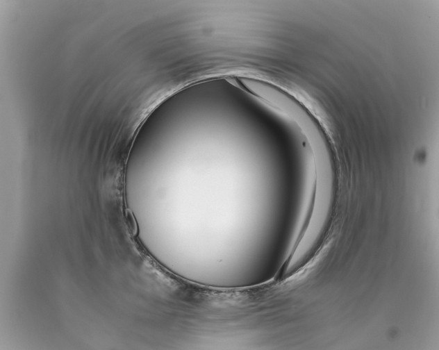 X0000089891001200707262226