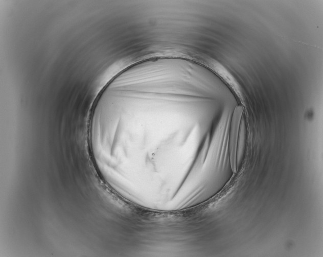 X0000089891002200707262226