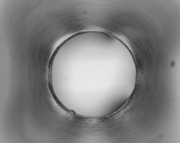 X0000089891003200707262226