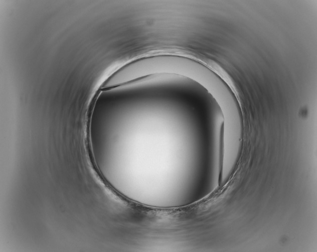 X0000089891005200707262226