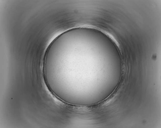 X0000089891007200707262226