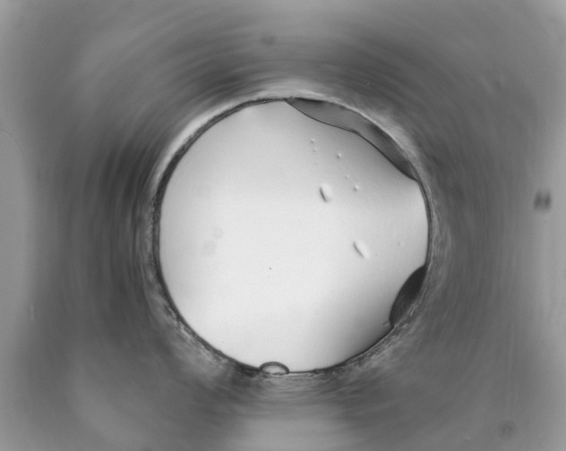 X0000089891008200707262226