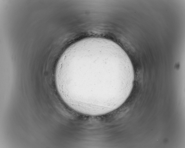 X0000089891009200707262225