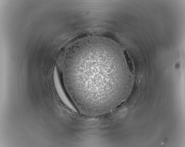 X0000089891010200707262225