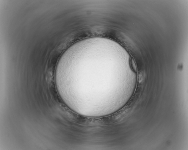 X0000089891011200707262225