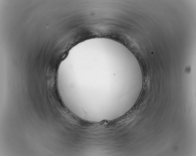 X0000089891012200707262225