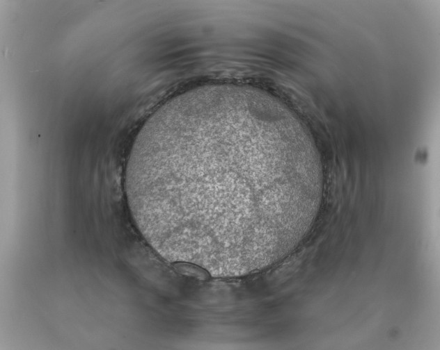 X0000089891013200707262225