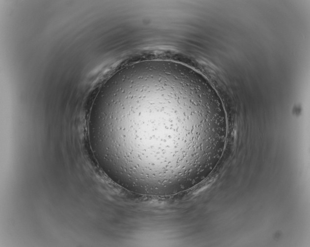 X0000089891014200707262225