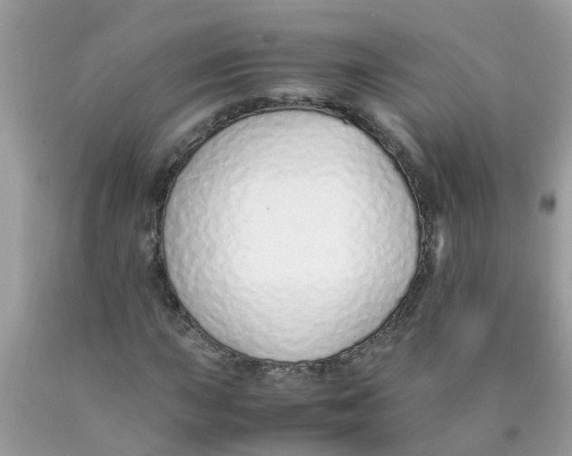 X0000089891015200707262225