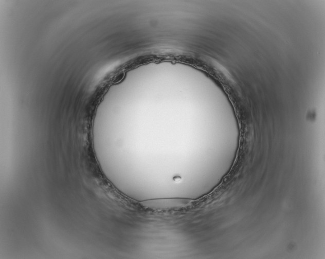 X0000089891016200707262225