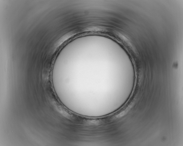 X0000089891017200707262225