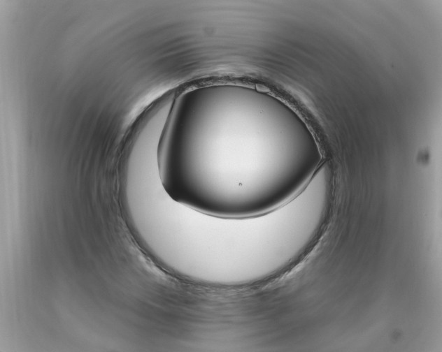 X0000089891018200707262225