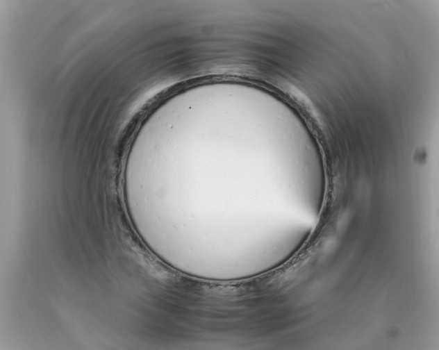 X0000089891019200707262225