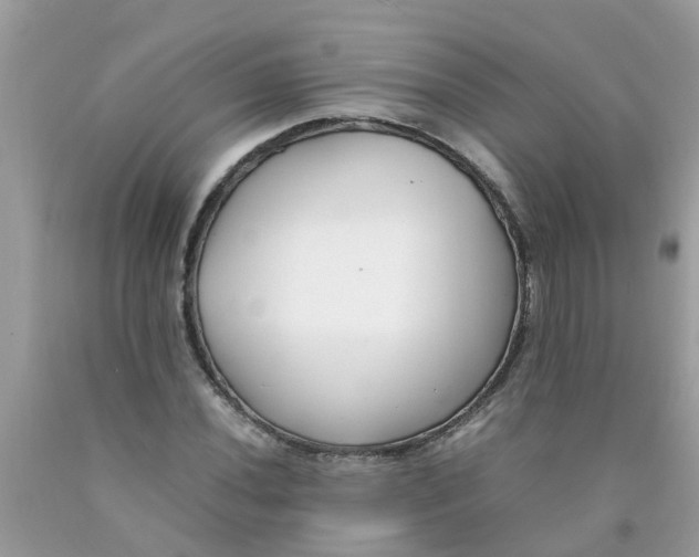 X0000089891020200707262225