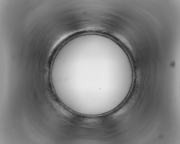 X0000089891021200707262225